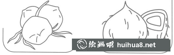 椰子簡筆畫