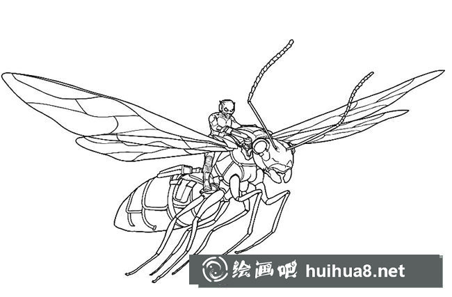 蟻人簡筆畫圖片大全