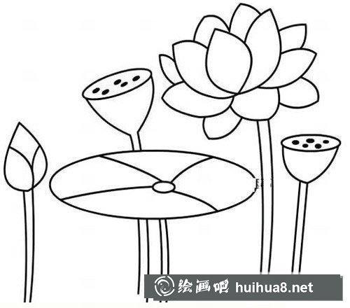荷花簡筆畫