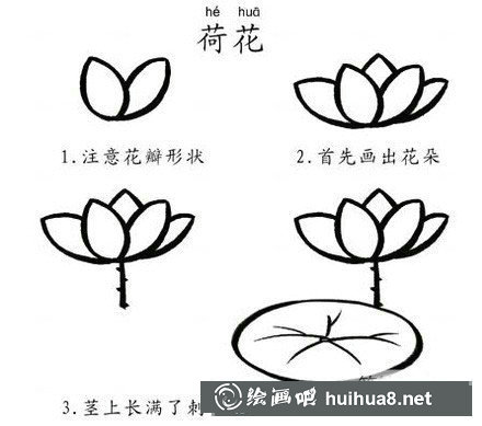 荷花簡筆畫的畫法步驟