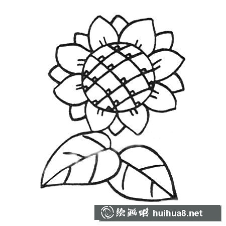 向日葵簡筆畫