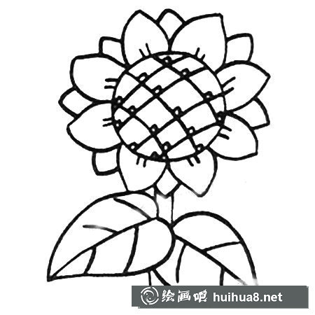 向日葵簡筆畫