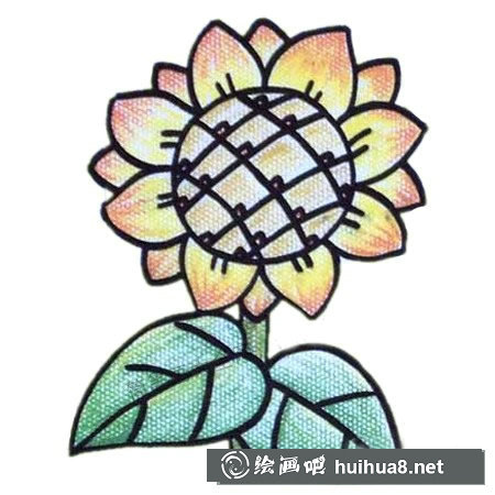 向日葵簡筆畫步驟教程