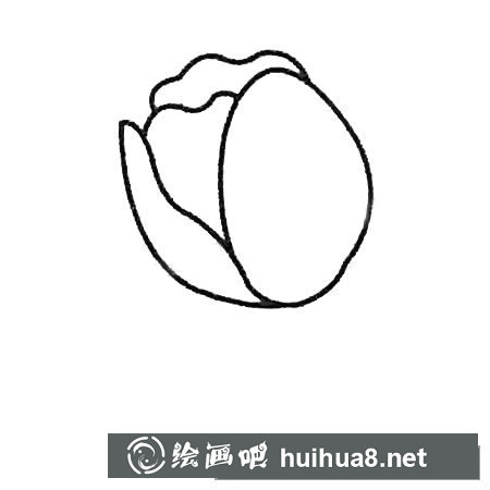 郁金香簡(jiǎn)筆畫大全及畫法步驟