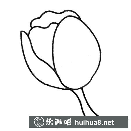 郁金香簡(jiǎn)筆畫大全及畫法步驟