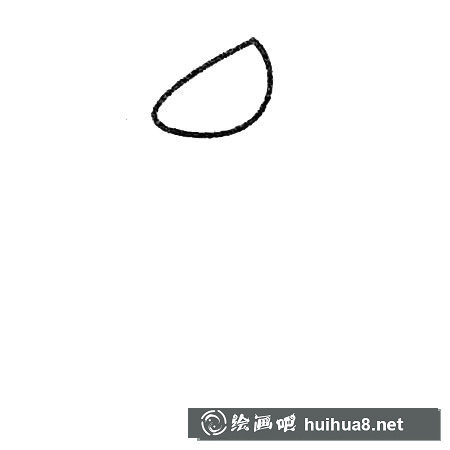 豬籠草簡筆畫大全及畫法步驟