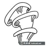 五彩蘑菇簡筆畫集錦