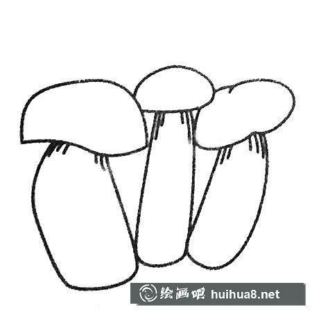 各種各樣的蘑菇簡(jiǎn)筆畫圖片大全