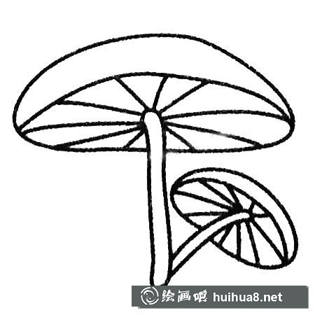 各種各樣的蘑菇簡(jiǎn)筆畫圖片大全