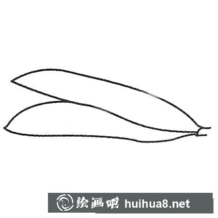 豌豆簡筆畫大全及畫法步驟