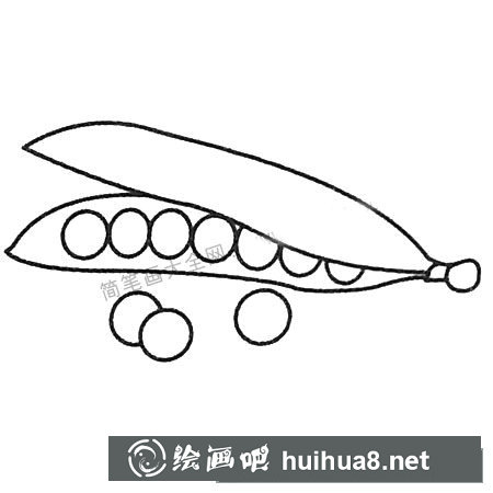 豌豆簡筆畫大全及畫法步驟