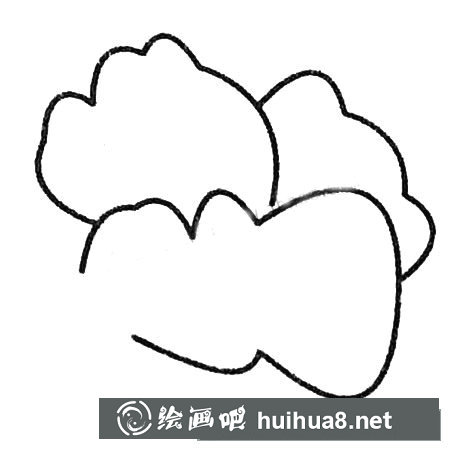 白菜簡筆畫大全及畫法步驟