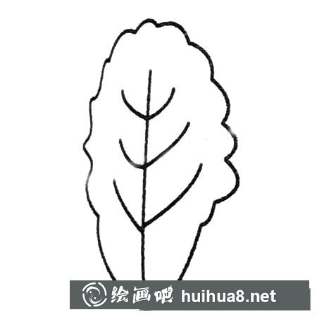 白菜簡筆畫大全及畫法步驟