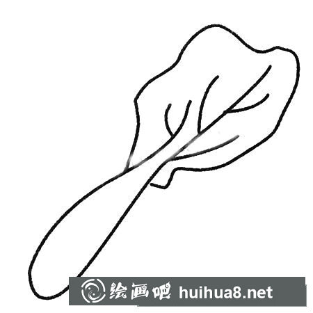 白菜簡筆畫大全及畫法步驟