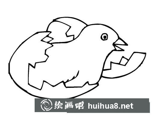 小雞破殼簡筆畫
