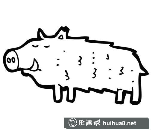 卡通疣豬簡筆畫，疣豬的卡通畫法圖片