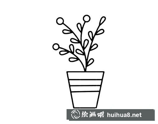 盆栽花草的畫法簡筆畫圖片