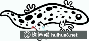 山椒魚(大鯢)簡筆畫圖片