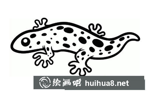 山椒魚(大鯢)簡筆畫圖片