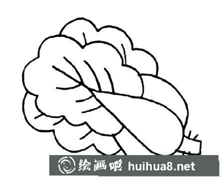 蔬菜上海青簡筆畫怎么畫
