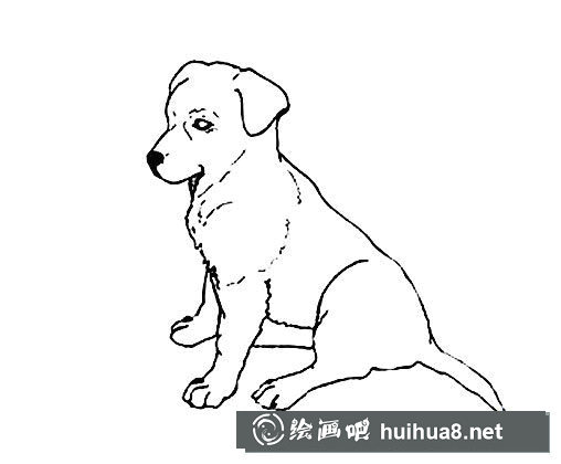 狗狗坐立簡筆畫怎么畫