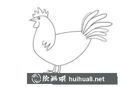 大公雞簡筆畫教程步驟