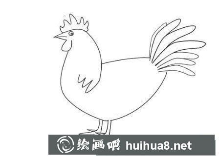 大公雞的畫法圖片