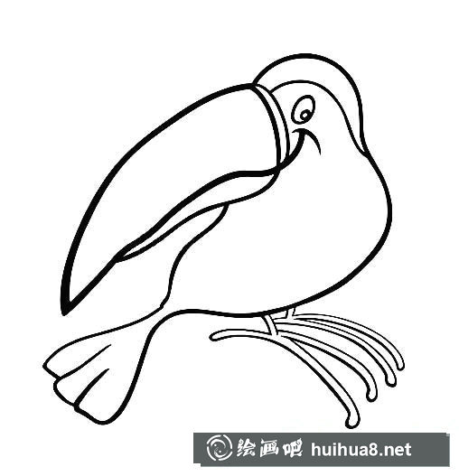 大嘴鳥怎么畫，大嘴鳥簡筆畫畫法