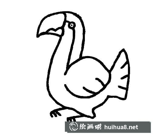 大嘴鳥怎么畫，大嘴鳥簡筆畫畫法