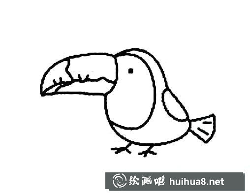 大嘴鳥怎么畫，大嘴鳥簡筆畫畫法