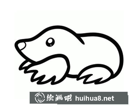 鼴鼠簡筆畫圖片