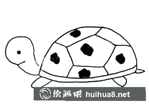 簡(jiǎn)單的烏龜簡(jiǎn)筆畫(huà)圖片大全