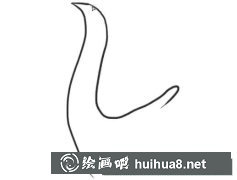 七步繪孔雀簡筆畫教程