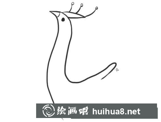 怎么畫孔雀簡(jiǎn)筆畫步驟教程