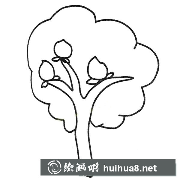 兒童簡筆畫大全 不同的桃樹簡筆畫畫法