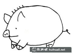 大肥豬簡筆畫教學(xué)可愛教程
