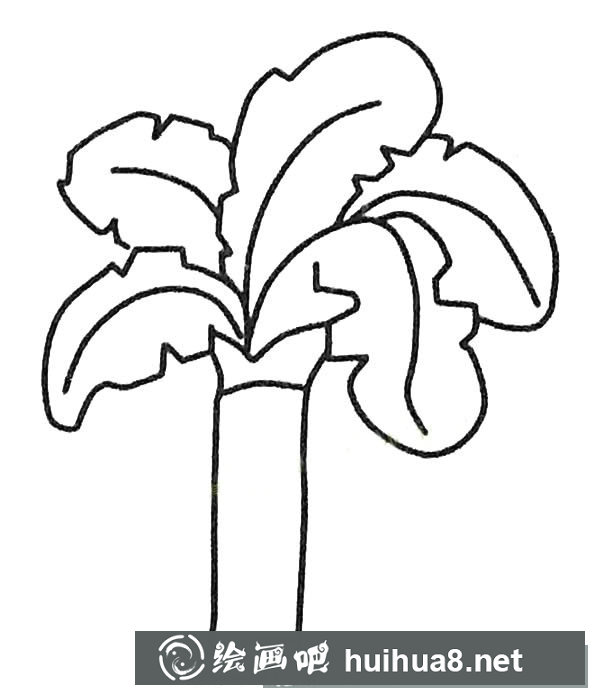 兒童簡筆畫大全 漂亮的芭蕉樹簡筆畫圖片