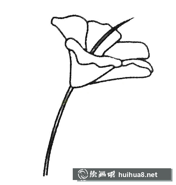 扶?；ê喒P畫