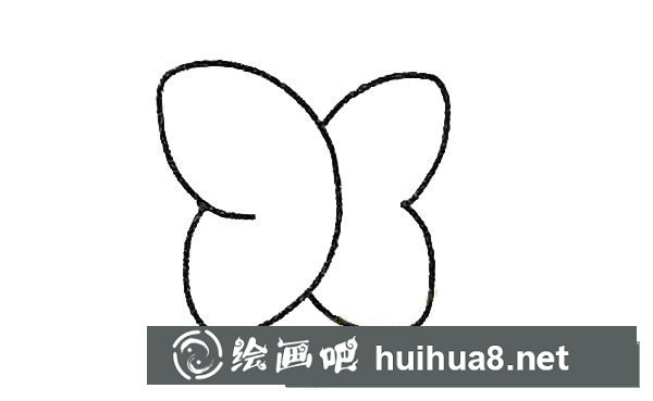 蝴蝶蘭簡筆畫
