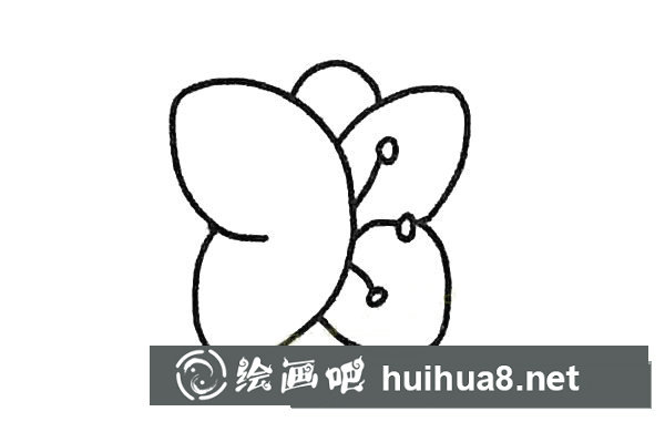 蝴蝶蘭簡筆畫