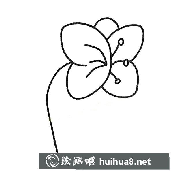 蝴蝶蘭簡筆畫