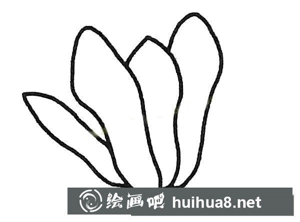 玉蘭花簡(jiǎn)筆畫