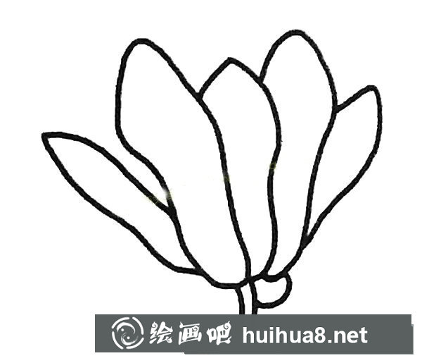玉蘭花簡(jiǎn)筆畫