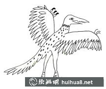翼龍簡筆畫圖賞