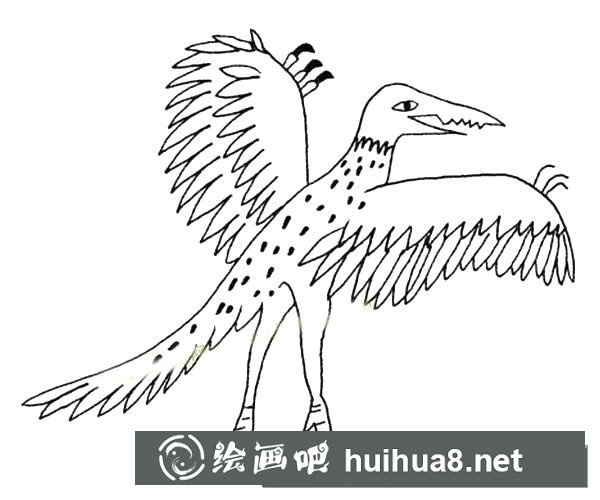 翼龍簡(jiǎn)筆畫圖片