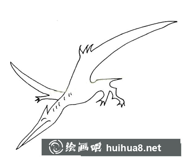翼龍簡(jiǎn)筆畫圖片
