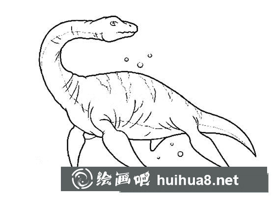 水中的恐龍蛇頸龍簡筆畫圖片