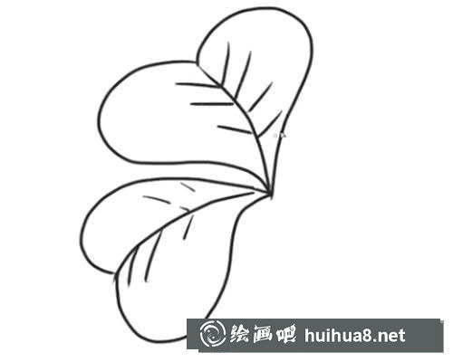 四葉草簡筆畫步驟教程
