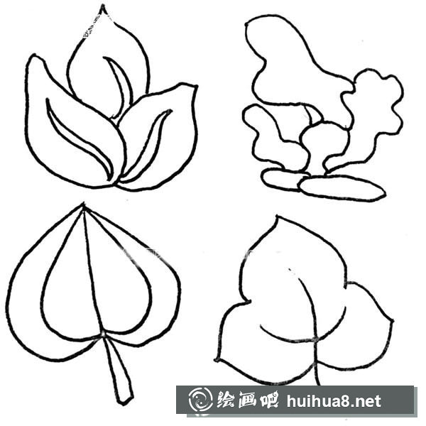 樹葉簡筆畫圖片大全