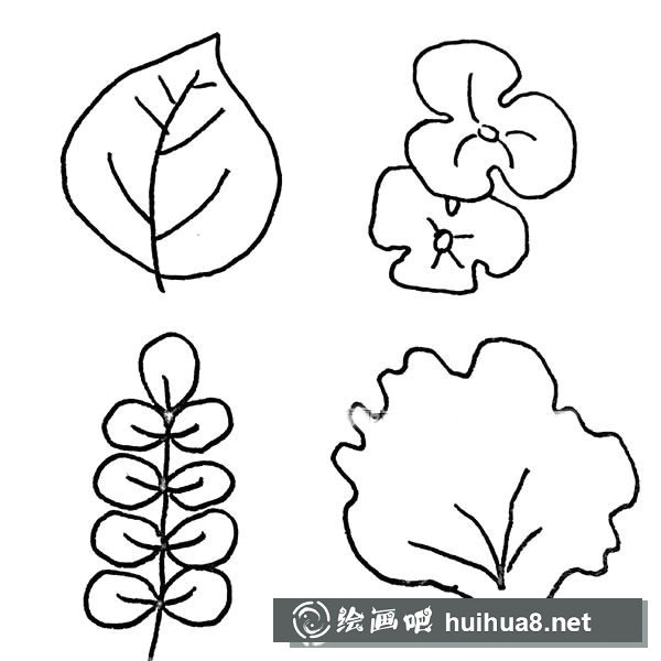 樹葉簡筆畫圖片大全
